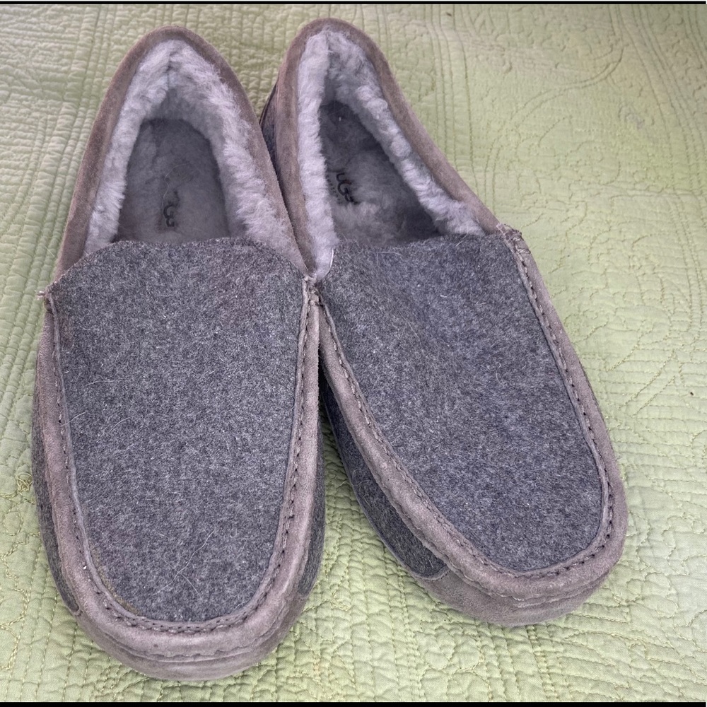 Ascot slippers UGG